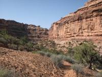 Trail in Slickhorn Canyon